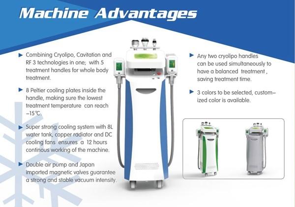 five Handles--cellulite Reduction Cryolipolysis Slimming Machine / cryolipolysis