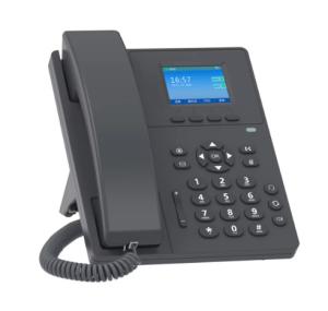 China basic IP phone with 2 SIP accounts, Color Screen factory