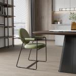 Minimalist Ultra Modern Dining Chairs Titanium Frame Stainless Steel Dining