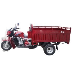 China Rear Load Gasoline 1.5t 200w 5 Wheel Motorcycle factory