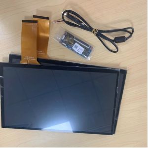 11.6 Inch LCD Panel RaspBerry Pi CTP IPS Display Screen With Touch Panel