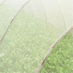 China White Nylon Net Fruit Tree Cover Diamond Mesh Anti UV Anti Insect Bird factory
