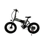 Double Suspension 20 Inch Electric Folding Fat Tire Bike