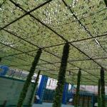 Photography Military Camouflage Net EU Double Layers 300D 6.5ft X 10ft 2*3m 6