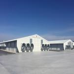 Solid H Shape Beam Poultry Farm Structure Lightweight Steel Frame House Anti