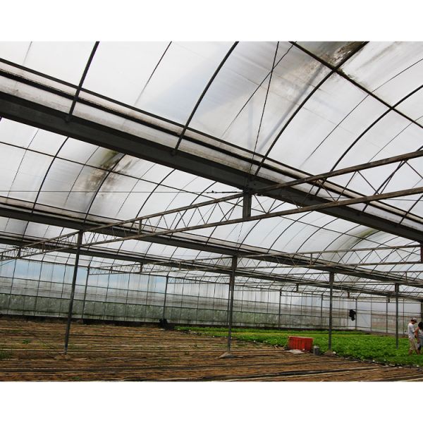 12-15 Meter Tunnel Width IGREEN Large Multi-Span Plastic Greenhouse for Plant Farming