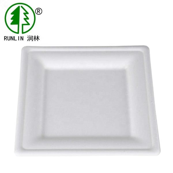Birthday Cake Eco Friendly Dishes Easy Takeaway SGS Disposable Rectangular
