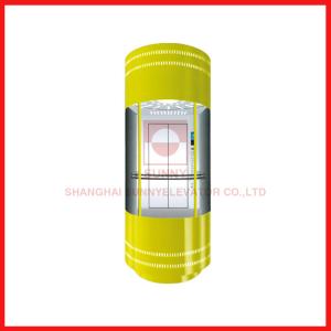 China 1000kg Sound Insulation Passenger Elevator With Small Machine Room factory