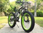 48v 500W 1000w MTB Electric fat Bikes
