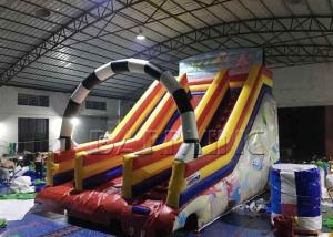 China 0.55mm Pvc Material Giant Kids / Adult Inflatable Slide Commercial Fire Resistant factory
