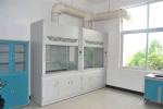 Anti Acid fume hood cabinet , PP Cup Sink Chemical Fume Cupboard