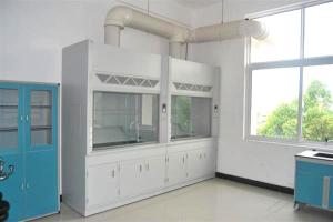China All Cold Rolled Steel Lab Fume Cupboard , Portable Chemical Fume Hood With Exhaust Fan factory