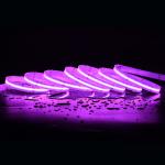 Led strip light 16w high quality 3M tape colorful smart 5m 12v 24v rgbw cob led