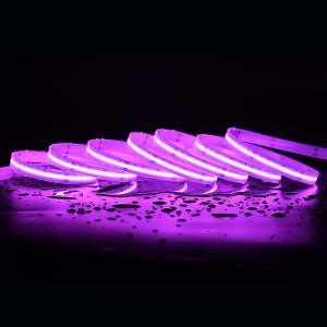 China Led strip light 16w high quality 3M tape colorful smart 5m 12v 24v rgbw cob led strip factory