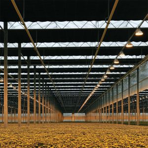 Black Curtain Rolling Blackout Plastic Greenhouse Breathable Auto Light Dep