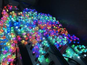 China 360° Viewing Angle 25mm Indoor 3D Pixel LED Point Light 3D Pineapple Lantern factory