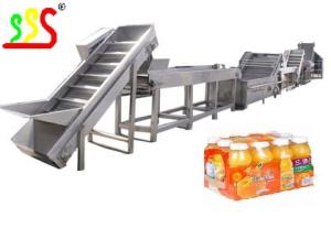 China Raw Mango Pineapple Juice Making Machine 300 - 500ml Bottle 2t/H factory