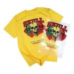 Heat Transfer Printing A2 DTF PET Film 17INCH 42CM Transparent