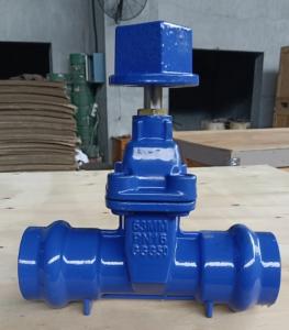 China ductile iron GGG50 DN50 PN16 socket gate valve with blue color factory