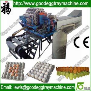 China Automatic Egg Tray Machine Pulp Molding Machinery factory