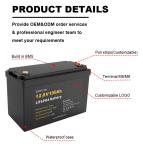 Deep Cycle Lead Acid Replacement Battery LiFePo4 12V 50AH Energy Storage Battery