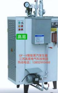 China New design small Cheap industry electric heating steam boiler for car cleaning factory