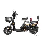 NO Foldable Long Distance Electric Bike 350W With 48V 12ah Battery And Smart