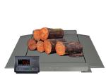 Skid Proof Industrial Floor Scales , 2M Floor Scale For Pallets