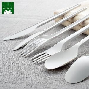 China OEM Service 100% PLA Plastic Fully Compostable Quality Disposable Cutlery Biodegradable Spoon Fork Knife Set factory