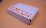 FSC Pizza Sustainable Shipping Boxes , Mailer Box With 400g C1S Material CMYK