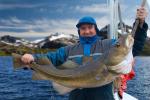 DDC Flavor Musk The Ultimate Fish Flavor For Animal Feed