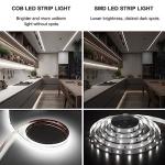 Long Lifespan 50000 Hours 24V LED Light Strip for Holiday Decor 5m Length