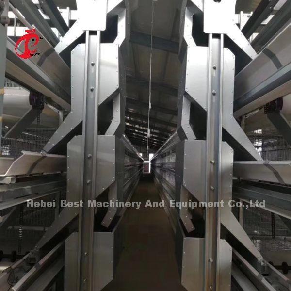Galvanized Poultry Farming A Type Automatic Cage System For Layers In Nigeria