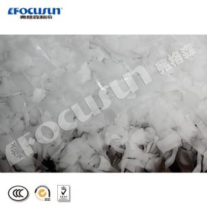 Fresh Water Large Capacity 25 Ton Flake Ice Making Machine with Bitzer