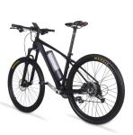 30 - 50Nm Torque Carbon Fibre Electric Mountain Bike With 250W Rear Hub Motor 27