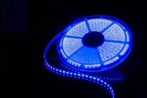 China Newest 20m/reel 5050 RGB LED Strip No Volt Drop 24V 48LEDs/m factory