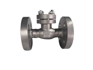 China Flange Cryogenic Check Valve factory