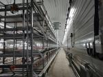 Galvanized Full Antomatic Steel Poultry Farm Shed Bird House Prefabricated
