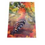 Waterproof 0.40mm PET Aquarium Pattern Paper Print Poster