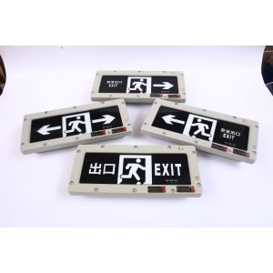 Customizable 3W Anti-Explosion Emergency Exit Sign LED Light Source for Chemical