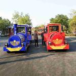 Theme Park Diesel Train Rides 42 Riders High Performance Long Working Life