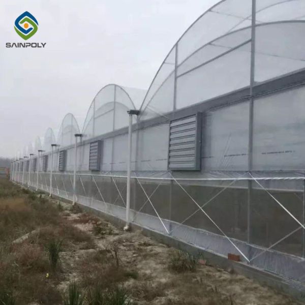 China Clear Sawtooth Roof Multi Span Greenhouse Plastic Sheeting ISO9001 2008 factory