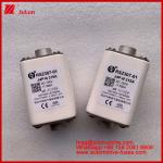 Square Ceramic RSZ307-01 J4P-N 315A 750VDC FUSE 50KA Chargers Wires Automotive
