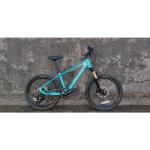 20 Inch Children Bicycle With Suspension Fork And Carbon Fiber Frame Weighs Only