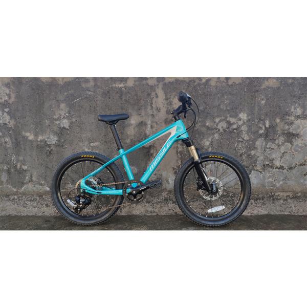 20 Inch Children Bicycle With Suspension Fork And Carbon Fiber Frame Weighs Only