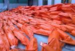 Floating Oil Containment Booms