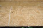 Yellow Burl Wood Veneer