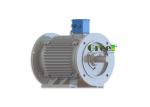 50kW Three Phase AC PMG Permanent Magnet Alternator