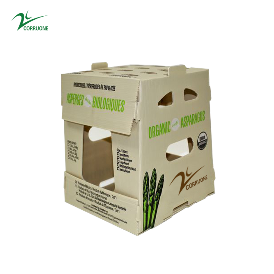 Asparagus Corrugated Plastic Produce Boxes Food Grade Black White