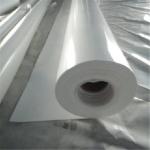 Pvc PVDC Cling Cast Film Extrusion Line Heat Cold Resistance